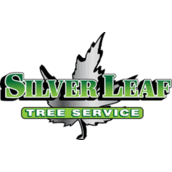 SilverLeaf Tree Service