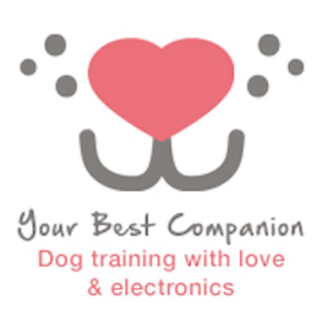 Your Best Companion Dog Training & Behavior