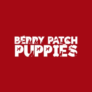 Berry Patch Puppies LLC