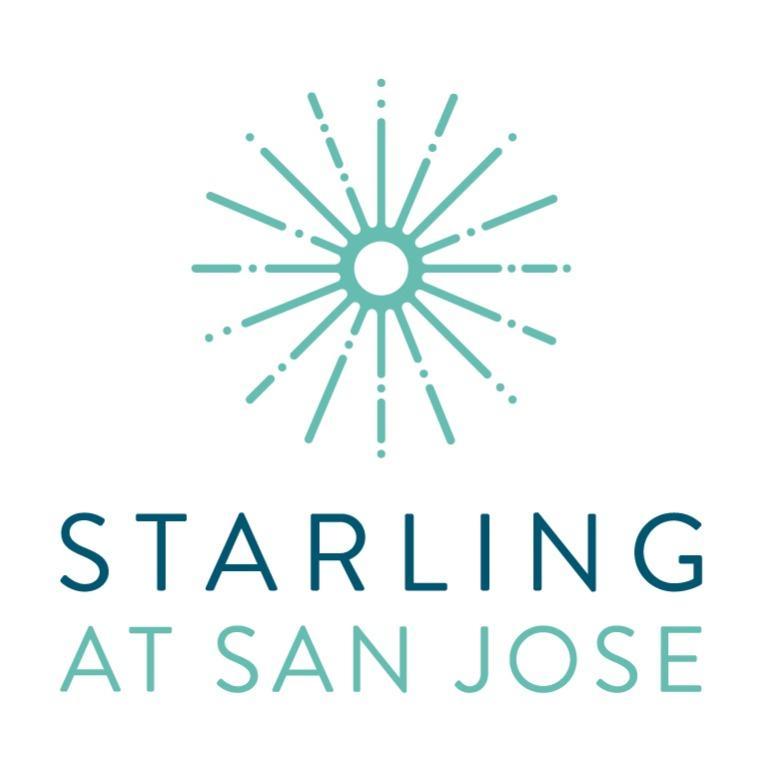 Starling at San Jose