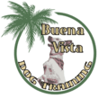 Buena Vista Dog Training