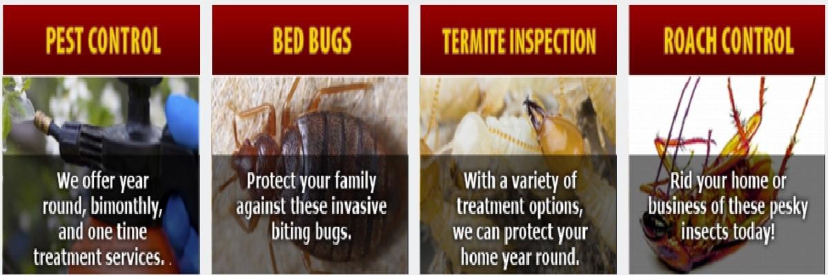 Tamarack Pest Control