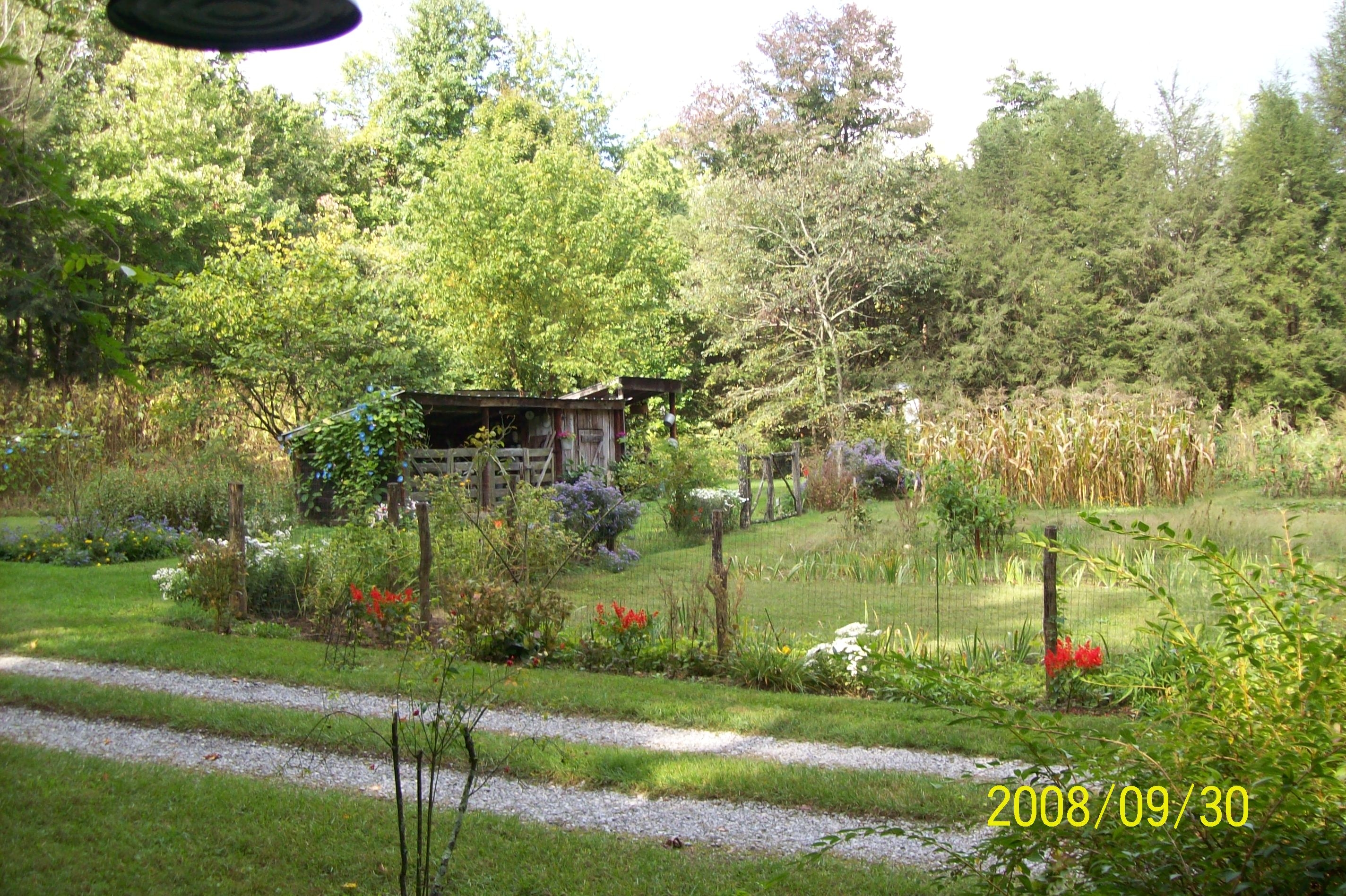 the fenced in veggie garden area