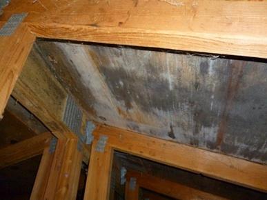 Portland Attic Mold - Before Treatment