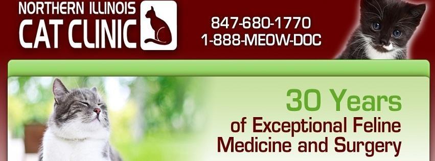 Feline Specific Veterinary Medicine