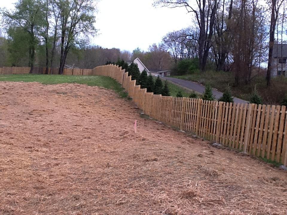 Lawn Installation By ERIE OUTDOOR SERVICES (Dollar General)