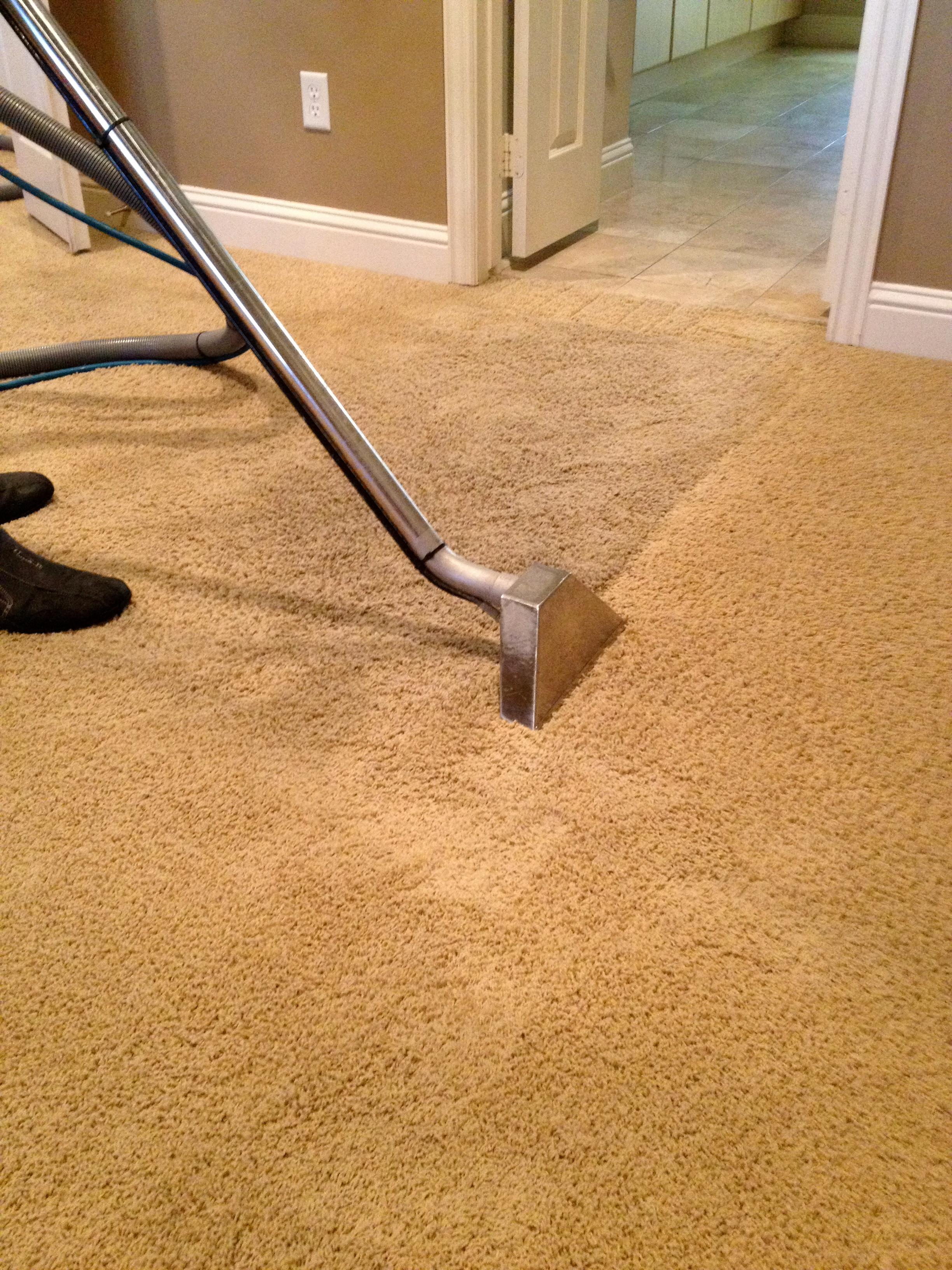 Rugs by Suggs Carpet Cleaning