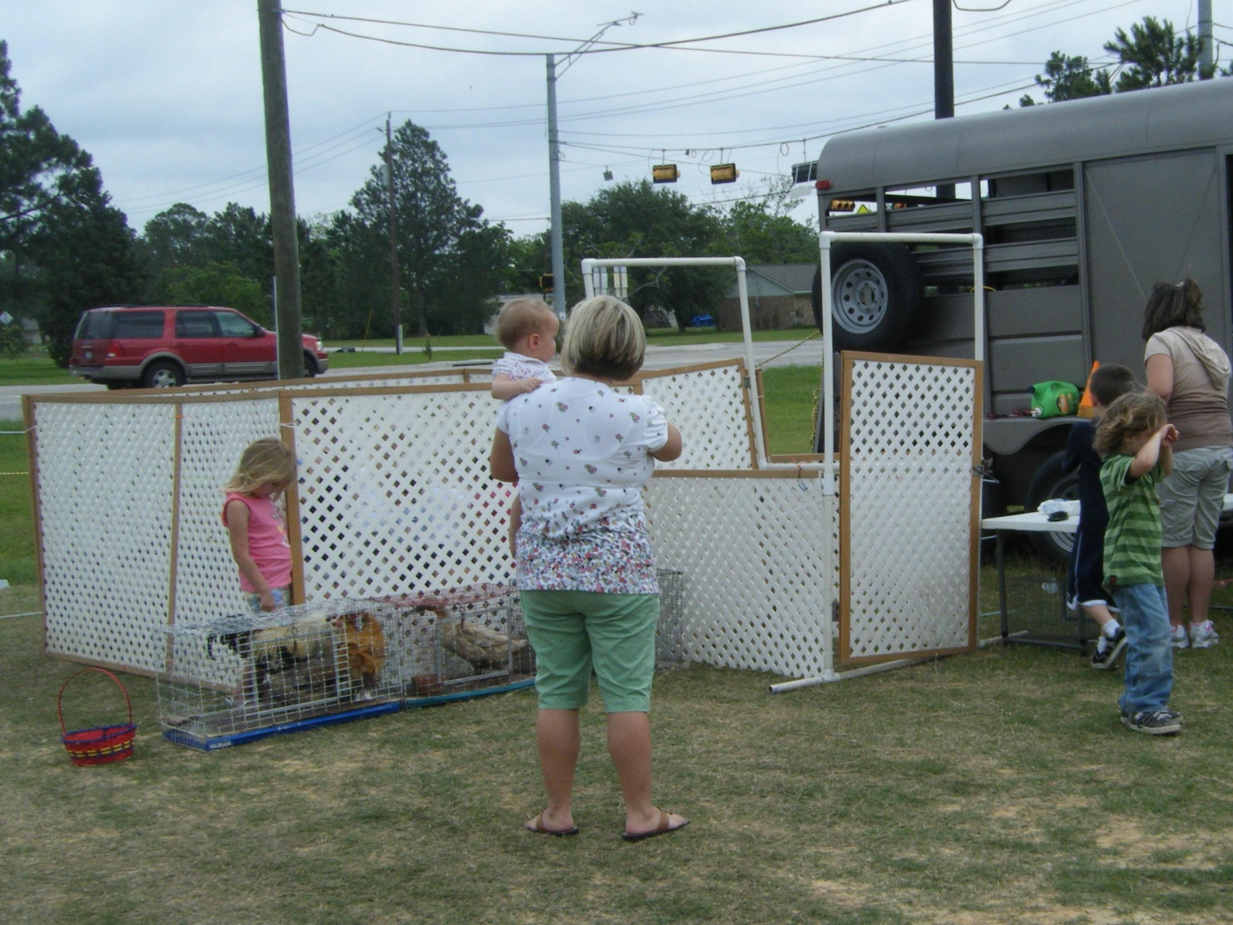 Small Petting Farm For Birthday Parties