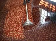 www.CarpetCleanerNewYork.com