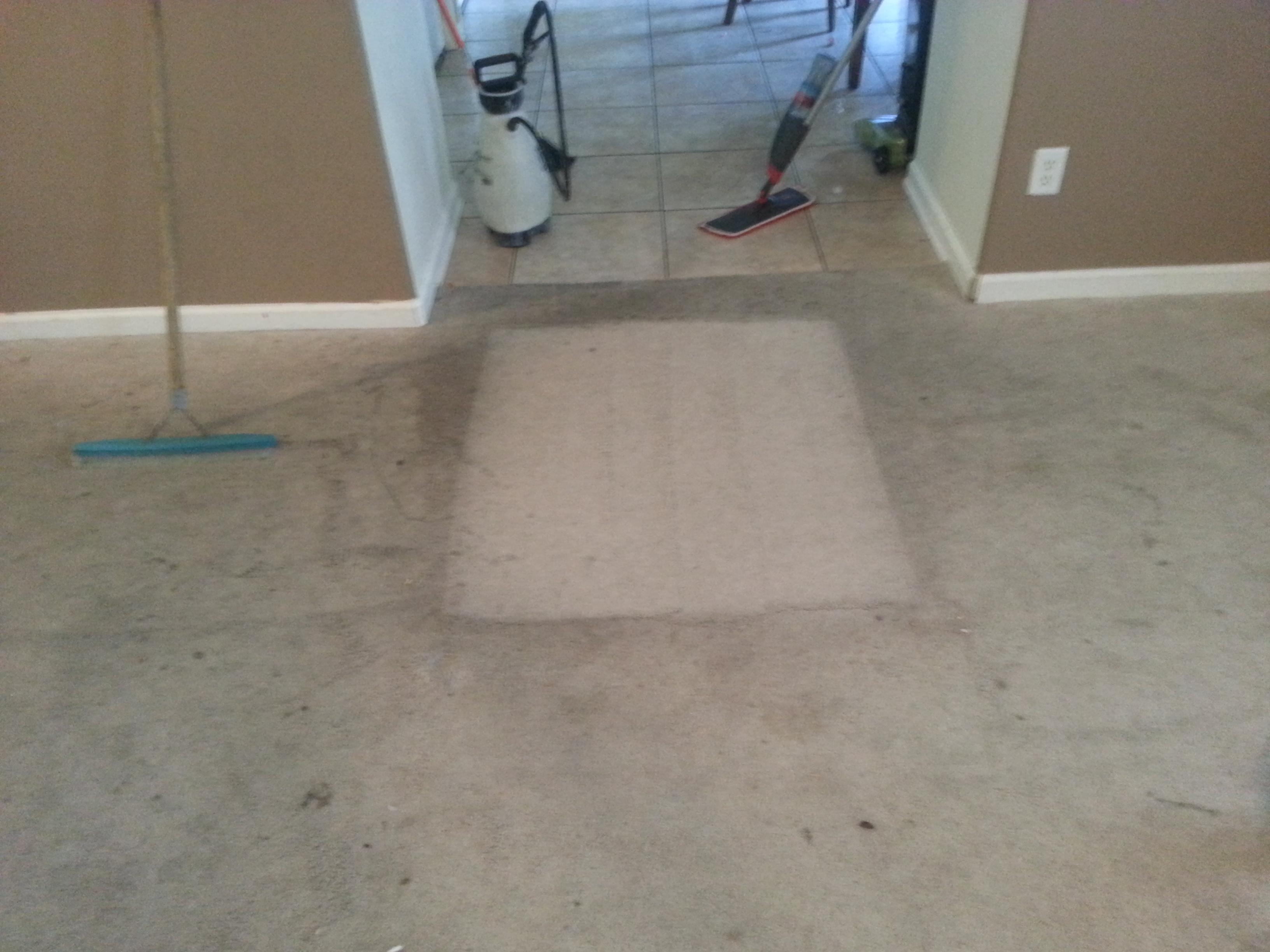 Dirt Free Carpet & Tile Cleaning