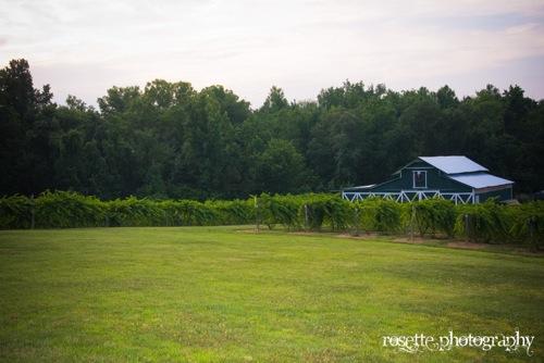 Green and White Barn and Vines