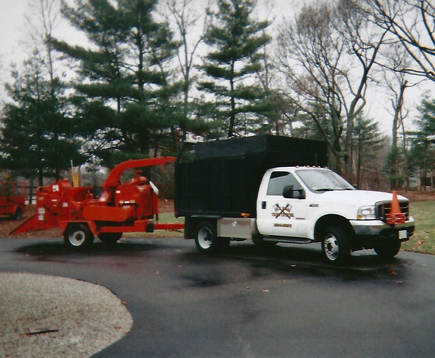 Old Time Tree Cutter