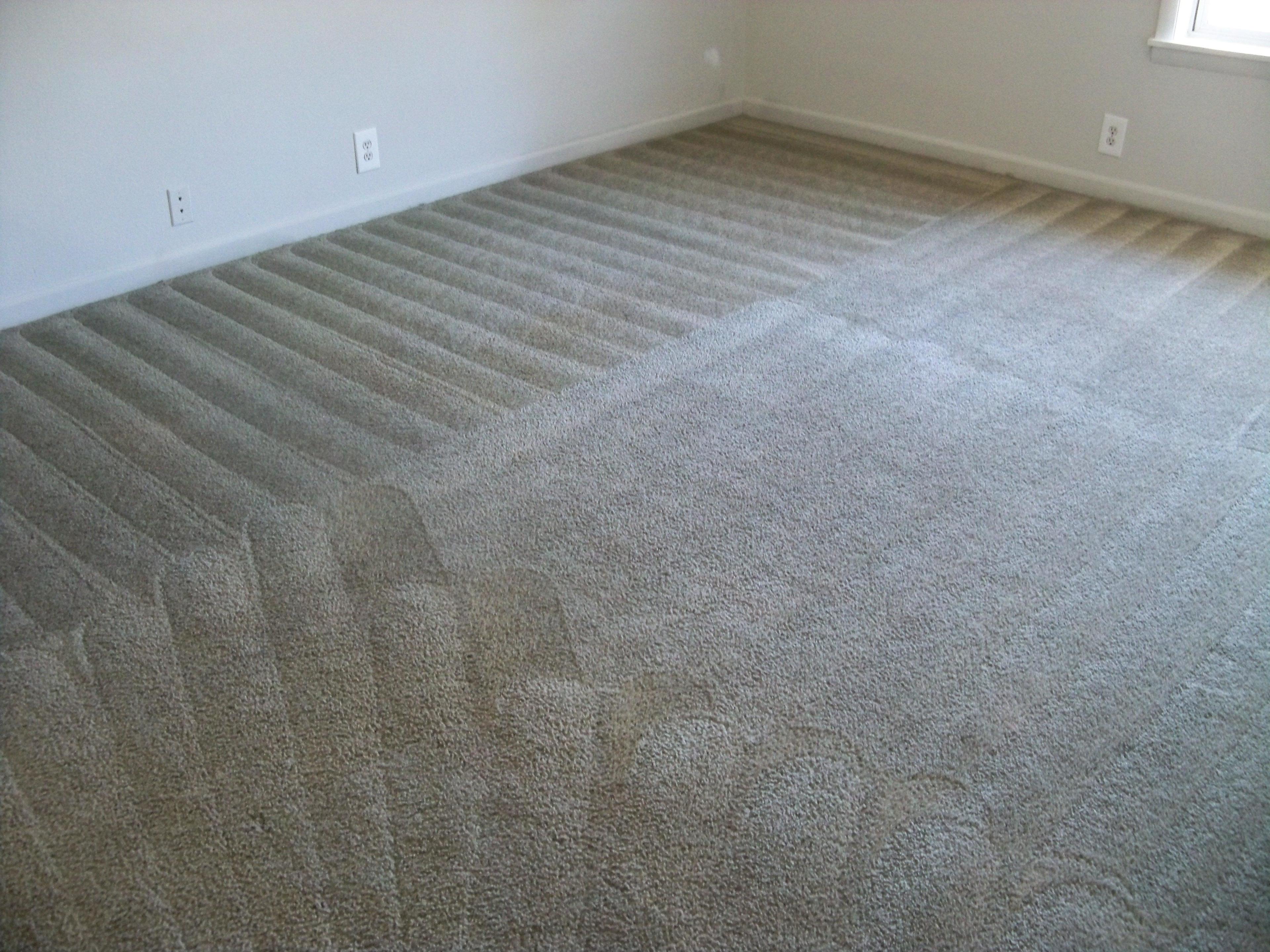 Cleaned Carpet