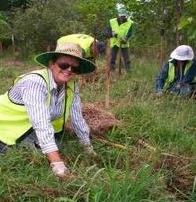 Tree Planting Services