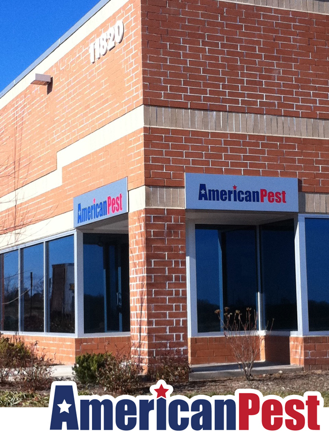 American Pest Office