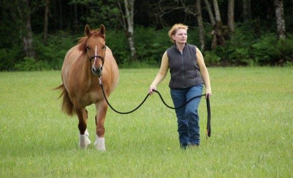 karen McCoy Horse Trainer - Way Out Ranch