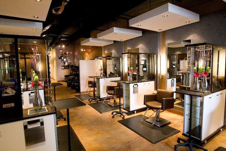 Salon Reveal