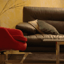 Upholstery Cleaning