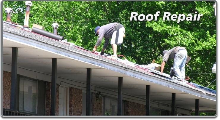 Roof Repair Contractors