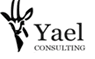 Yael Consulting - Online Marketing