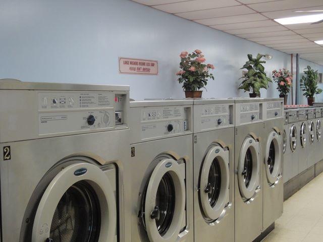 Sunshine Laundry