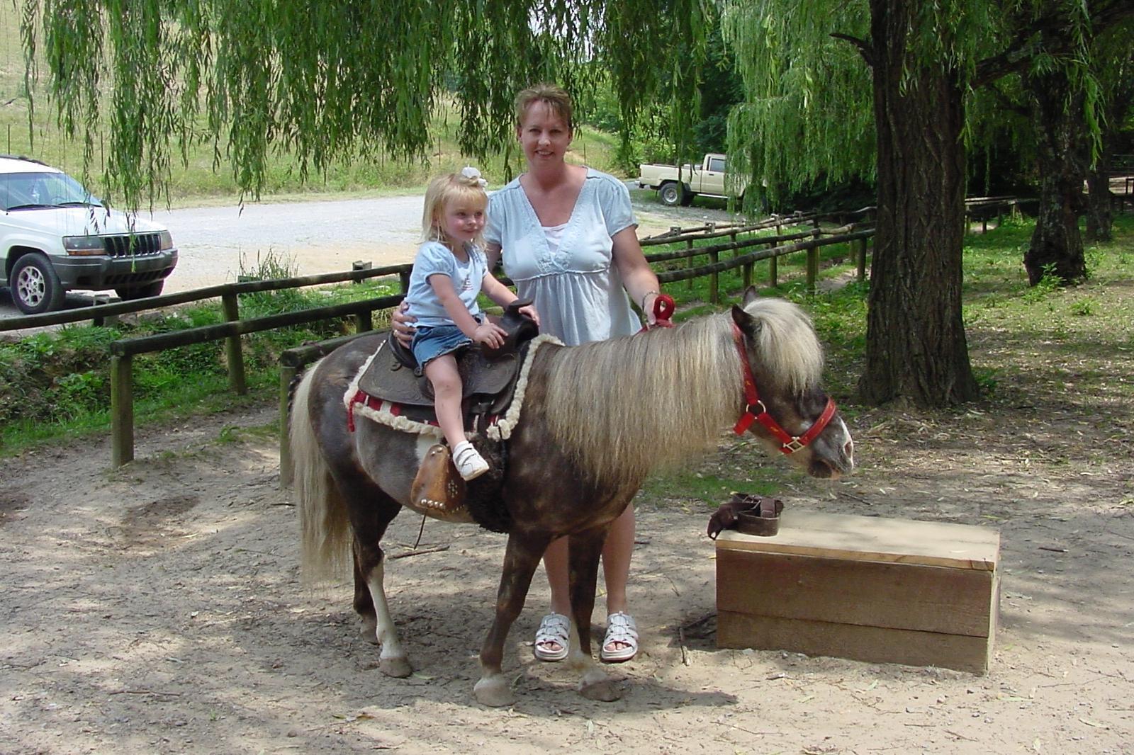 Smoky Mountain Deer Farm and Exotic Petting Zoo