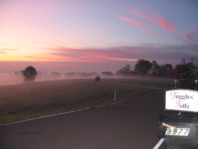 Fog nestles in the Ohio River Valley