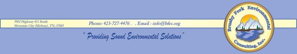 Brushy Fork Environmental Consulting, Inc.