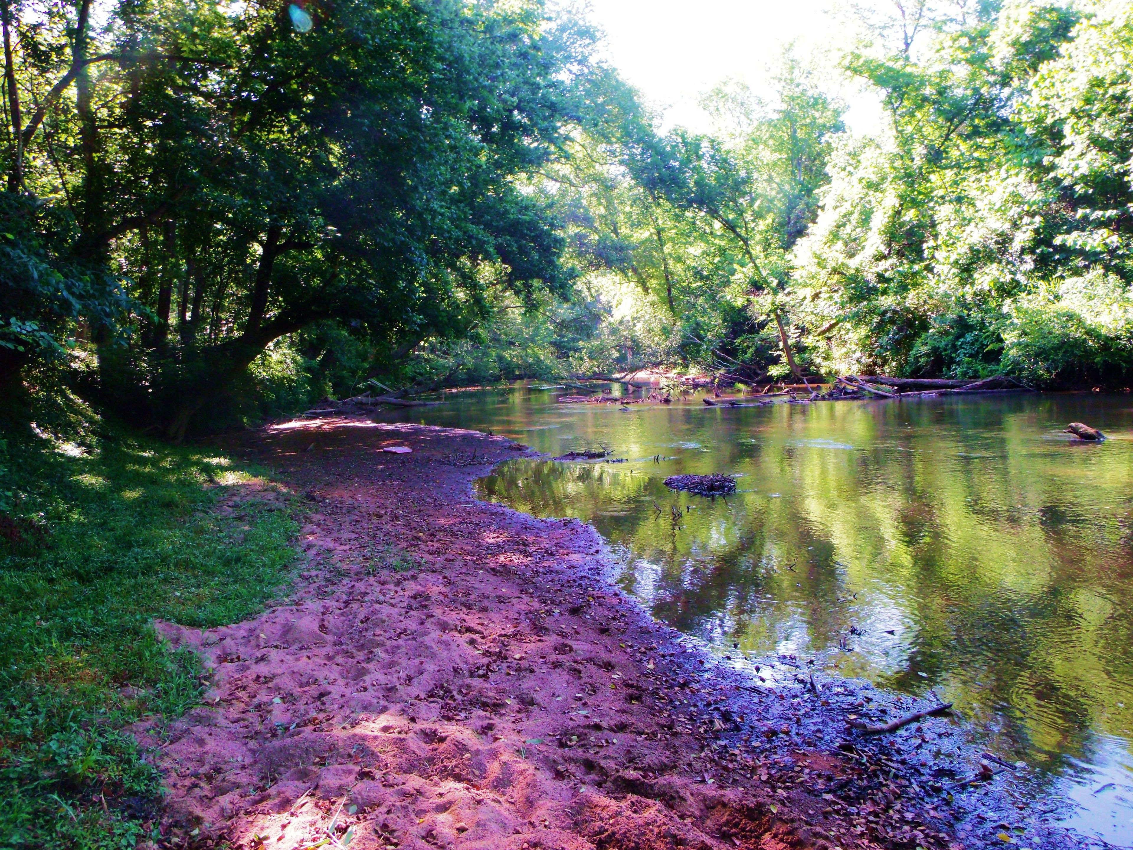 Riverfront Picnicking & Camping