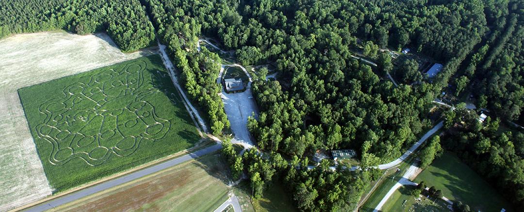 aerial shot of park