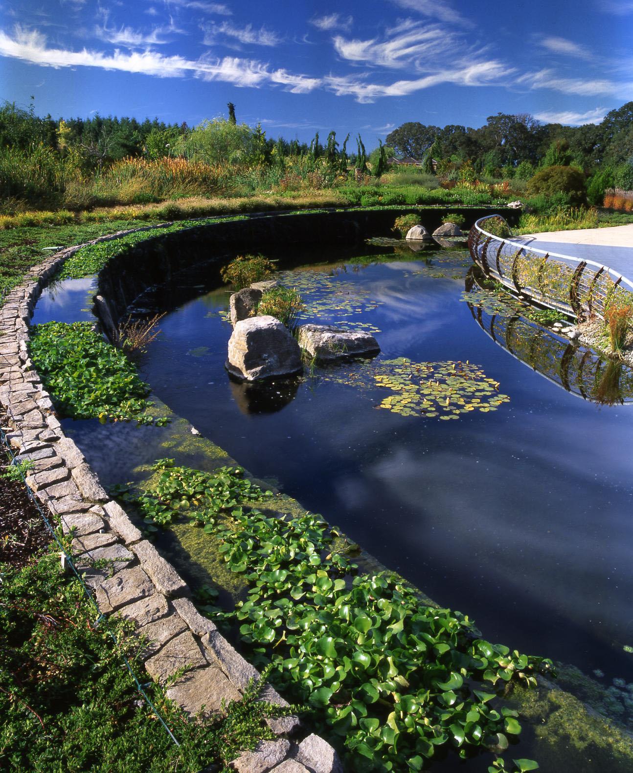 The Amazing Water Garden