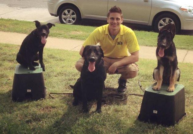 A Trainer in Tulsa with 3 dogs being trained!