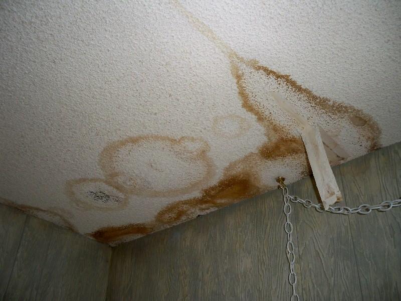 It is important to have a professional repair and restore your home from water damage. Unresolved water damage can lead to mold growth.