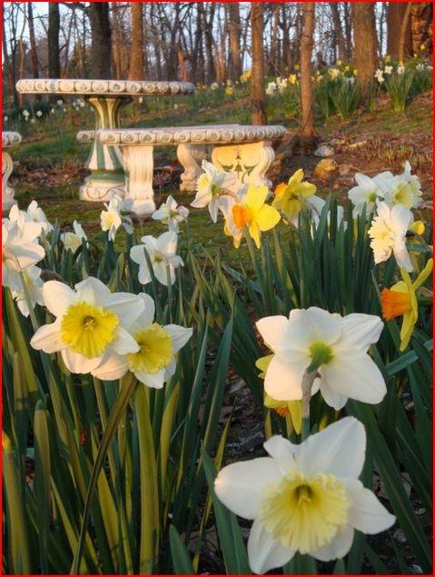 Flowering Gardens