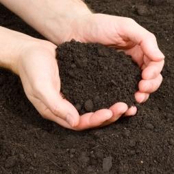 Topsoil and Mulch Company - Southern Nurseries