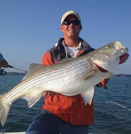 Lake Lanier Fishing guides - Striper Charters Ga