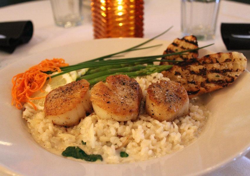 Scallops