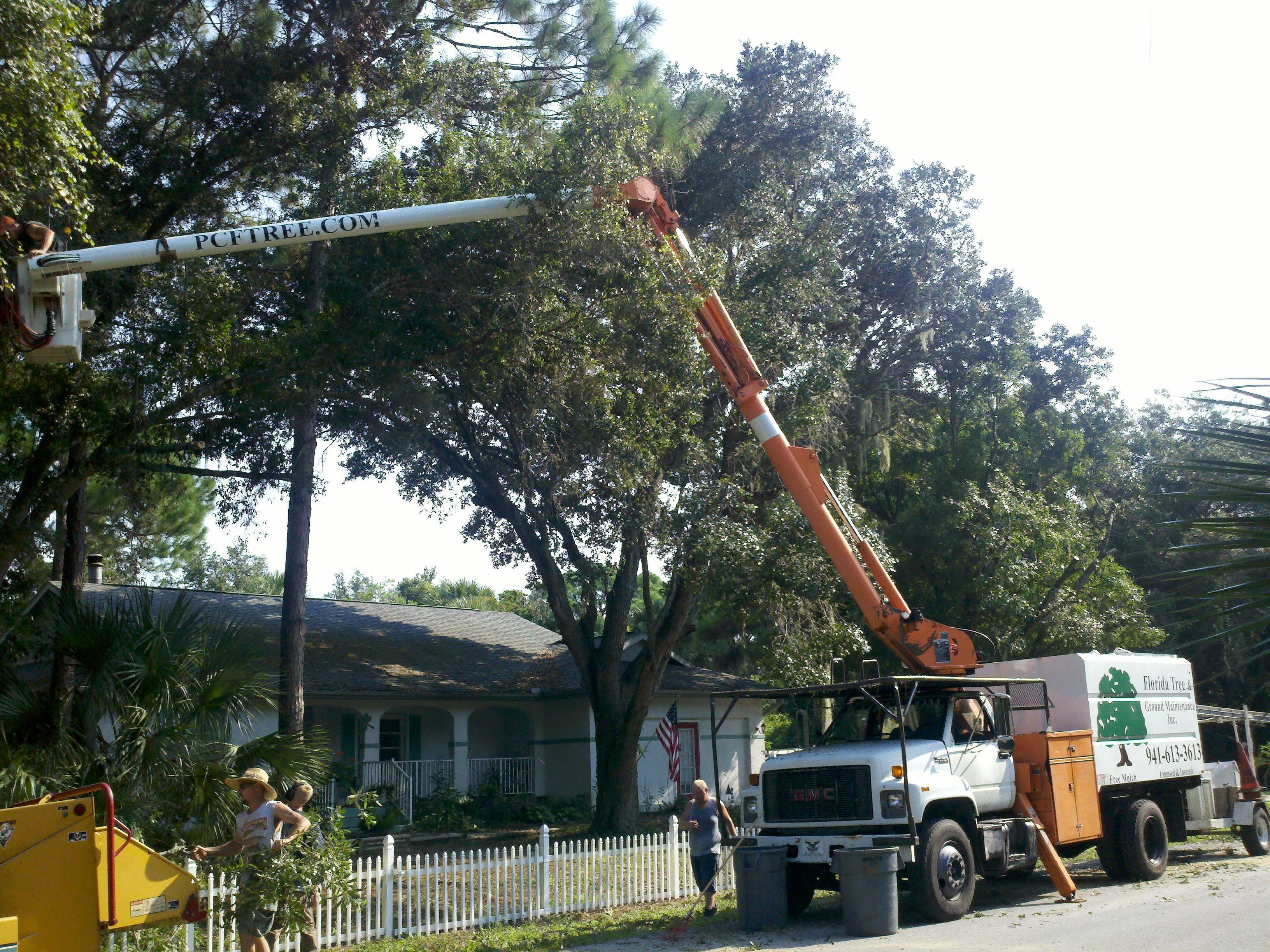 Florida Tree and Ground Maintenance, Inc.