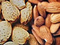 Nuts:Nature's Original Fast Food