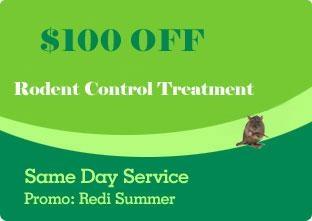 Rodent Control Coupon Seattle, WA