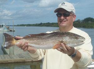 Mosquito Lagoon Redfish