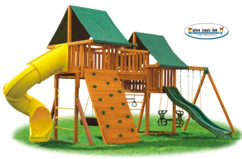 Eastern Jungle Gym Swing Set