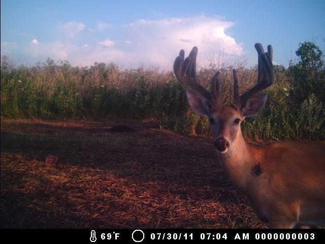 Doublepranch: South Dakota Hunting Lodge