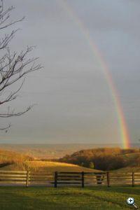 Follow your rainbow to our hilltop