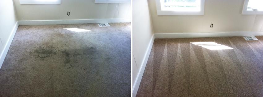 New Jersey Carpet Cleaner