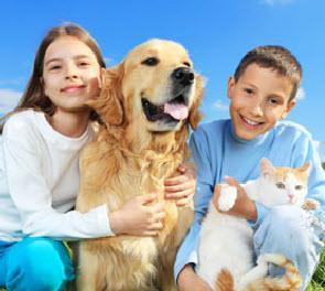 Veterinarian Care Dogs Cats Boise ID 83713