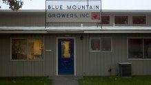 Blue Mountain Growers