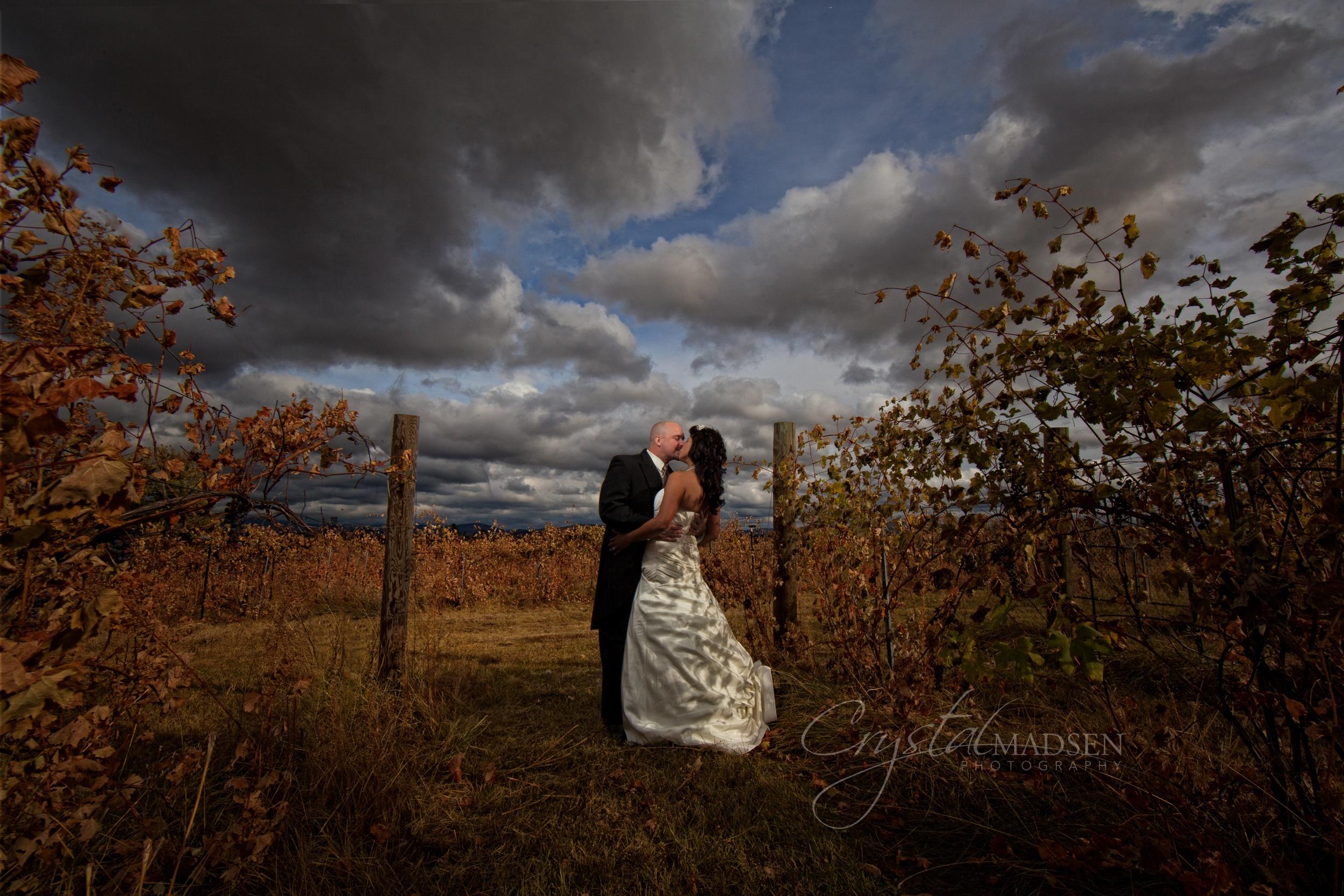 A Spokane Trezzi Farm Photo By Crystal Madsen