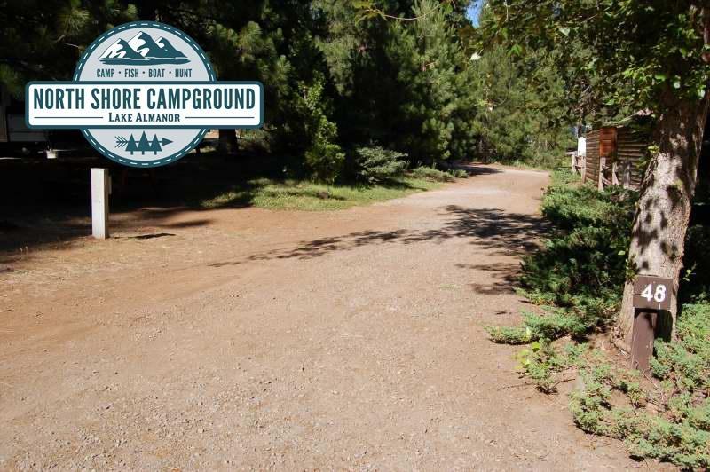 North Shore Campgrounds has a lot of space for RVs, Tents, and of course our very own cabins. Check out our campgrounds today