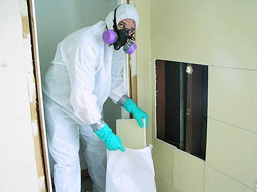 Several methods can be used to remediate and restore property from mold or water damage. Our methods follow strict industry guidelines.